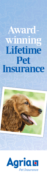 Dog Insurance Website Banner